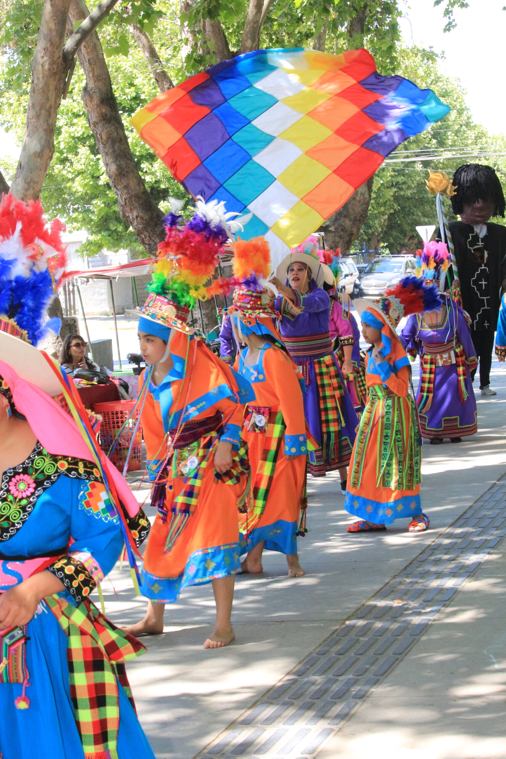 FIESTA MULTICOLOR